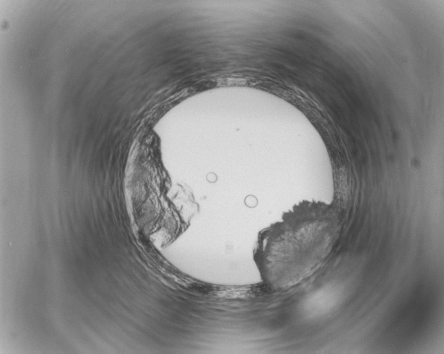 X0000059060761200510281632