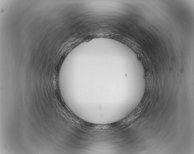 X0000059060762200510281632