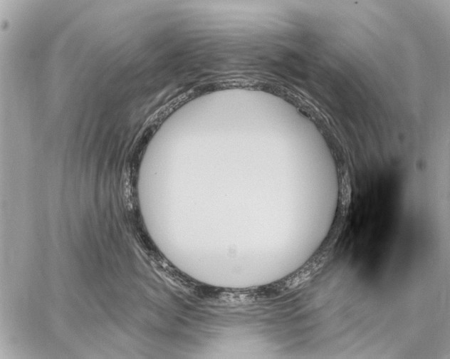 X0000059060764200510281632