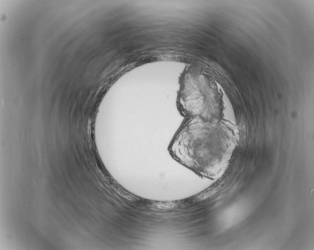 X0000059060765200510281632