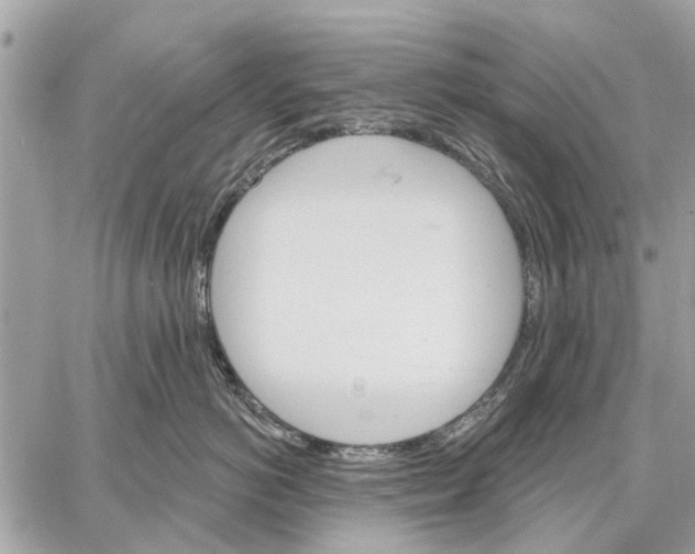 X0000059060766200510281632