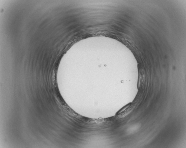 X0000059060767200510281632