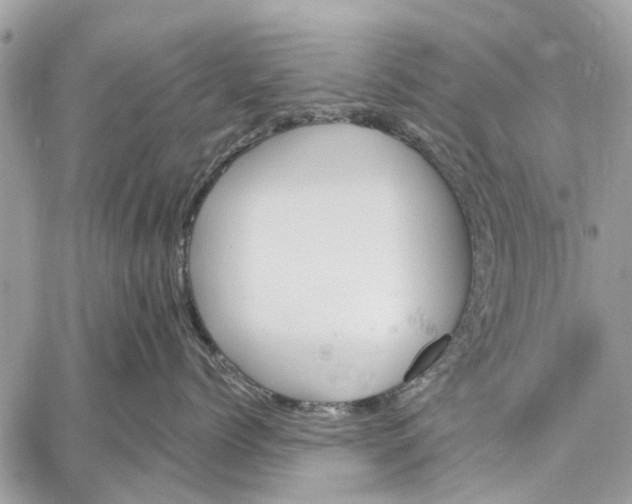 X0000059060768200510281632