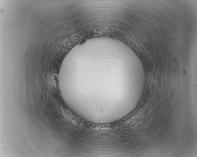 X0000059060770200510281632