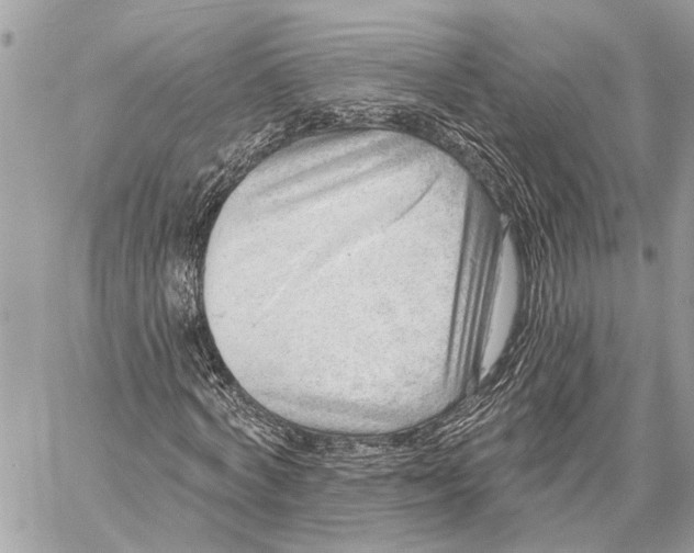 X0000059060772200510281632