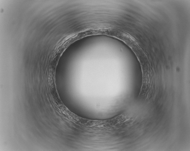 X0000059060773200510281631