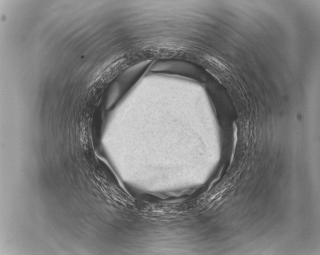 X0000059060774200510281631