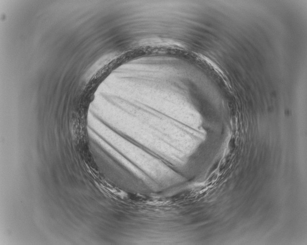 X0000059060775200510281631