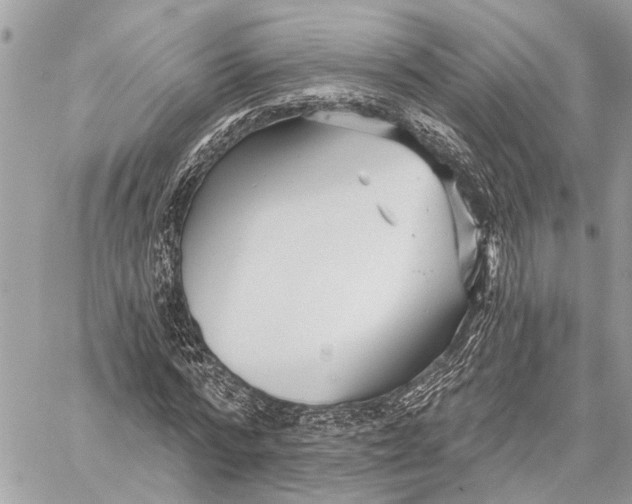 X0000059060776200510281631