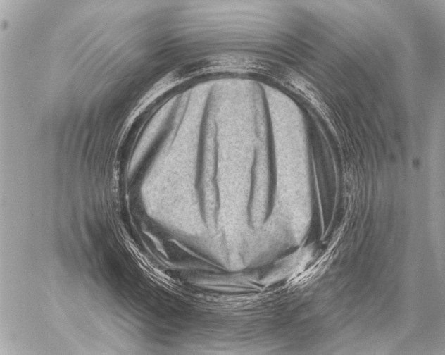 X0000059060779200510281631