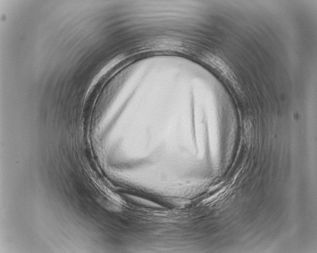 X0000059060780200510281631