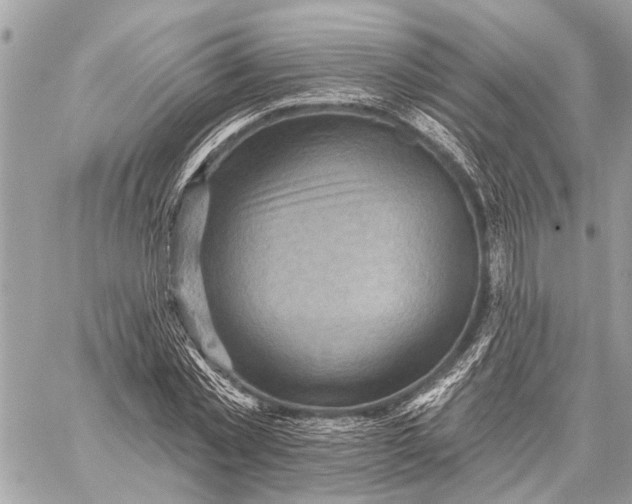 X0000059060781200510281631