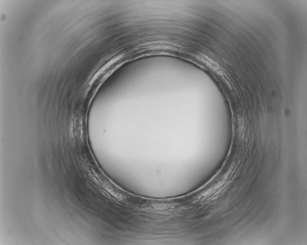 X0000059060782200510281631