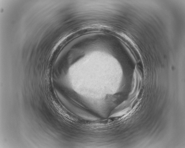 X0000059060783200510281631