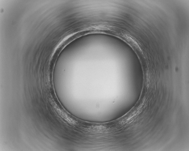 X0000059060784200510281631