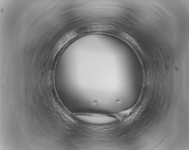 X0000059060786200510281631