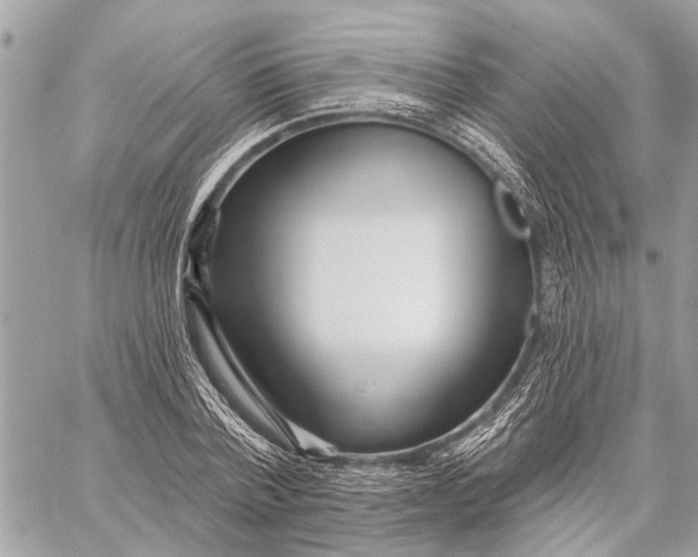 X0000059060788200510281631