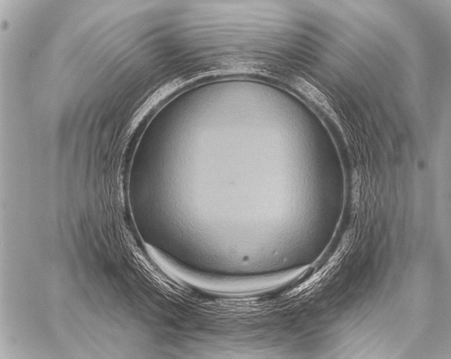 X0000059060789200510281631