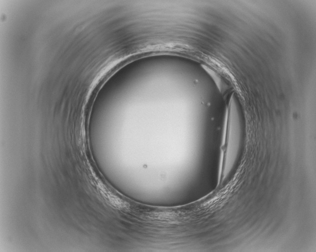 X0000059060792200510281631