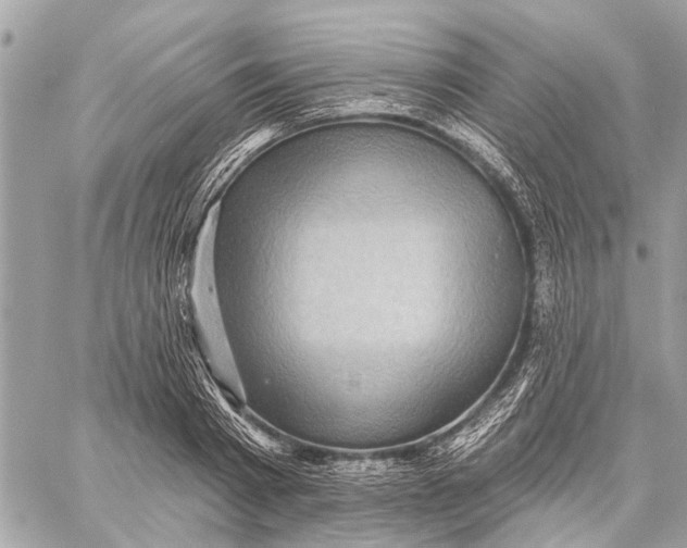 X0000059060793200510281631