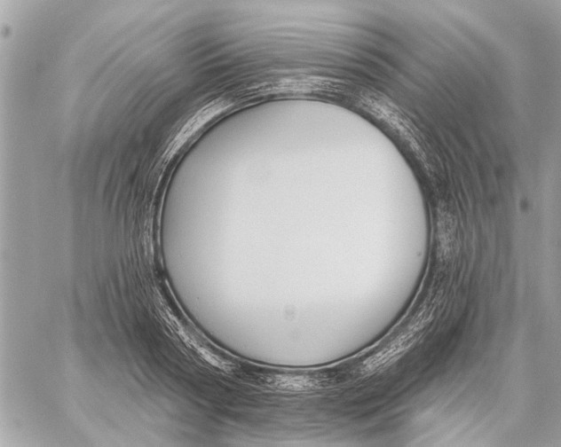 X0000059060794200510281631