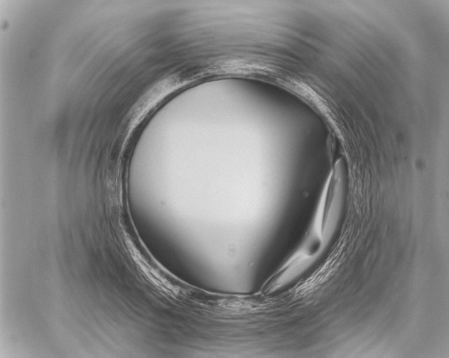 X0000059060795200510281631