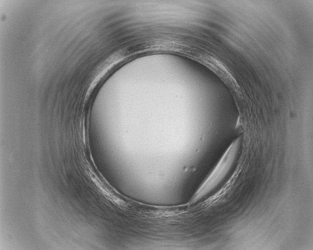 X0000059060796200510281631