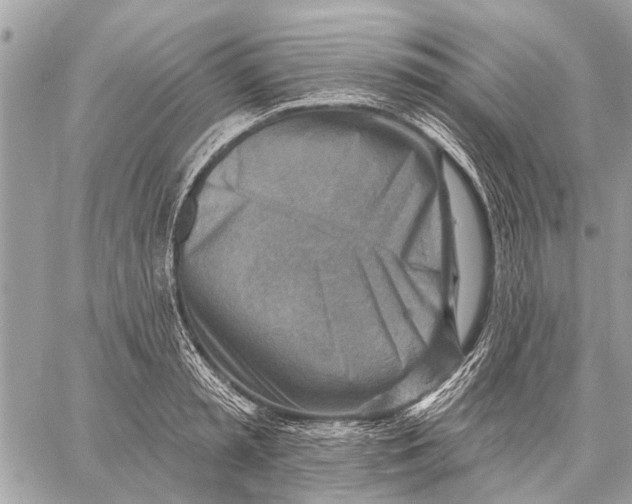 X0000059060797200510281631