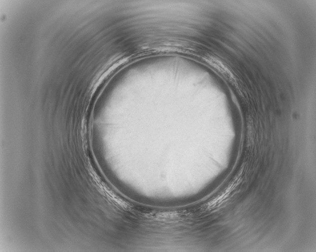 X0000059060798200510281631