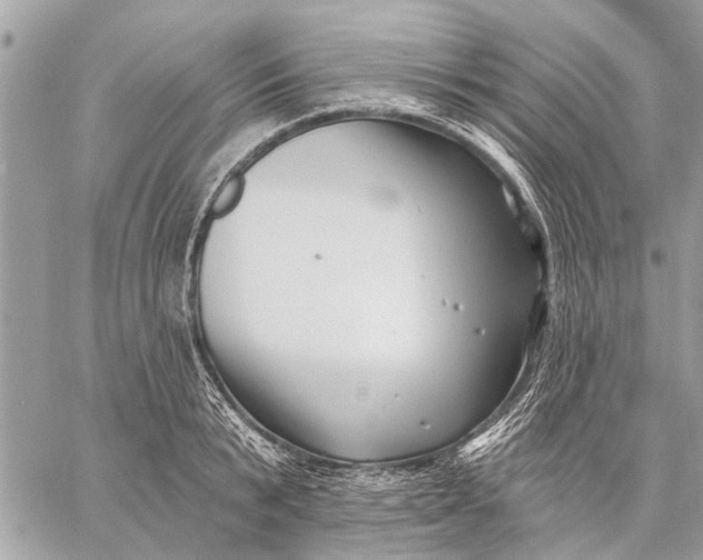 X0000059060799200510281631