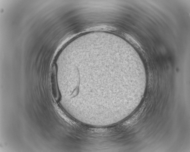 X0000059060800200510281631