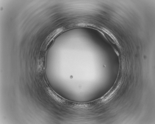 X0000059060801200510281631