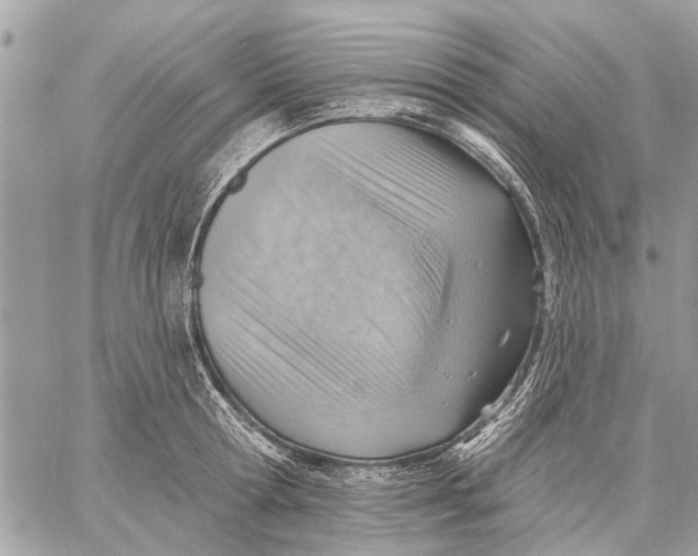 X0000059060802200510281631