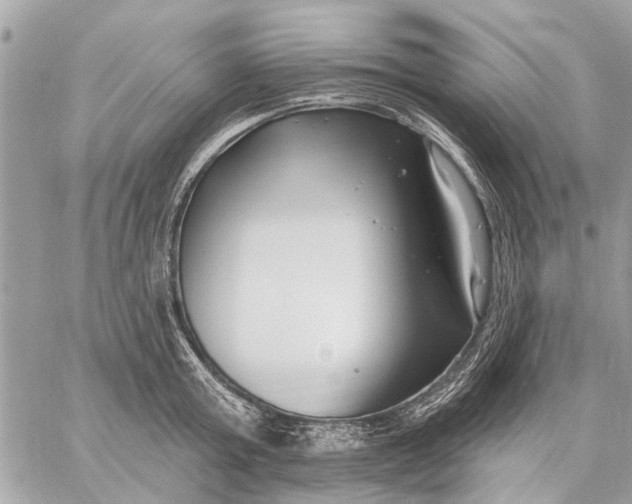 X0000059060803200510281631