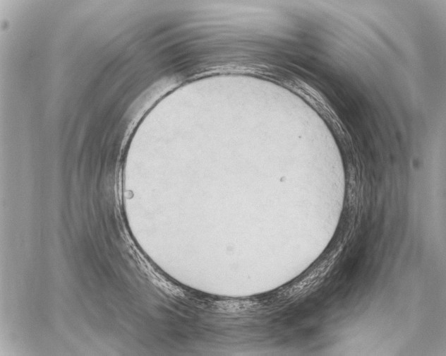 X0000059060804200510281631