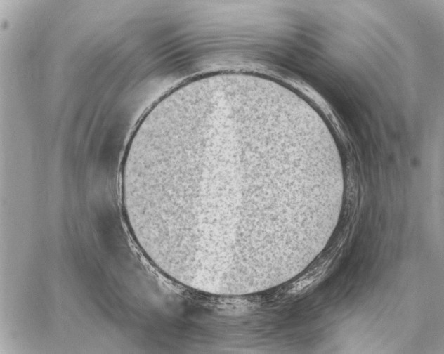 X0000059060807200510281631