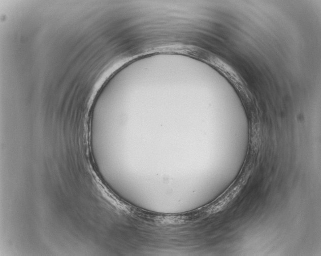 X0000059060808200510281631