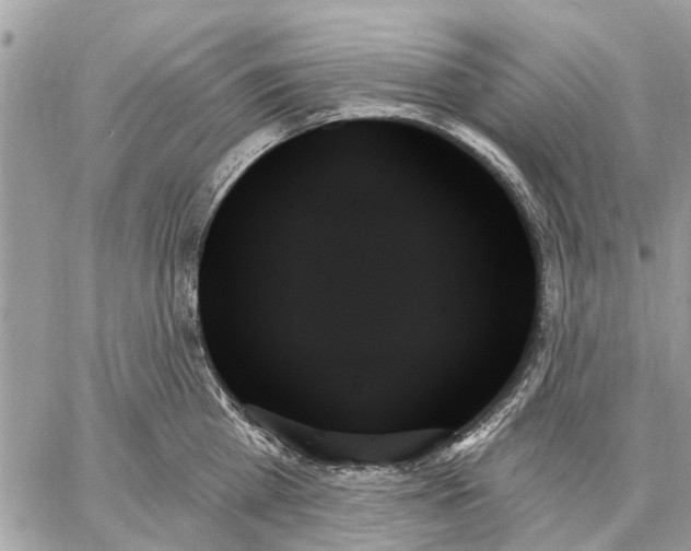 X0000059060809200510281631