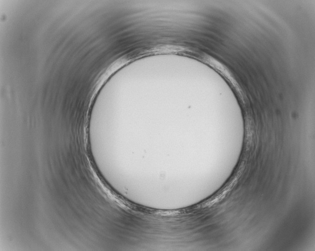 X0000059060810200510281631