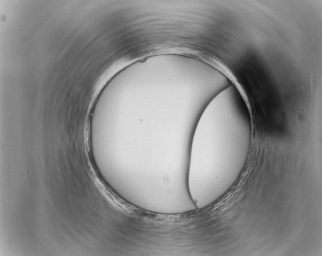 X0000059060811200510281631