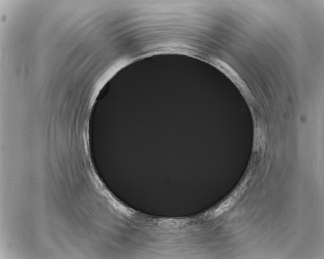 X0000059060812200510281631