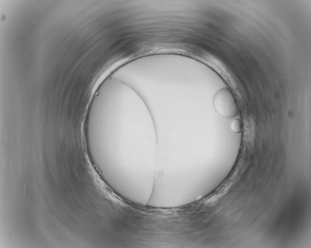 X0000059060814200510281631