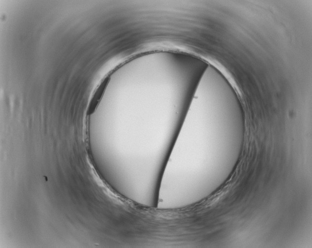 X0000059060815200510281631