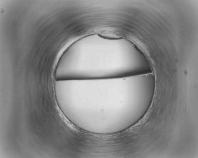 X0000059060816200510281631