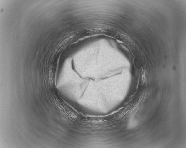 X0000059060819200510281630