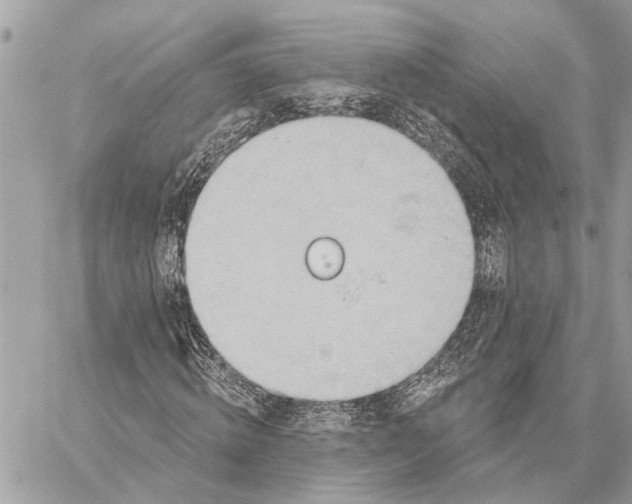 X0000059060820200510281630