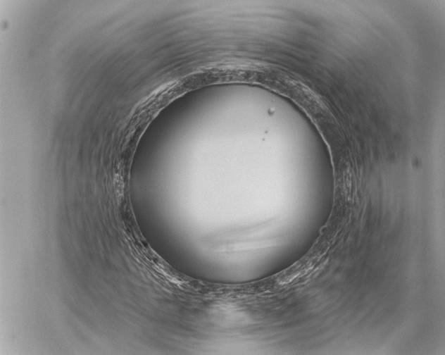 X0000059060821200510281630