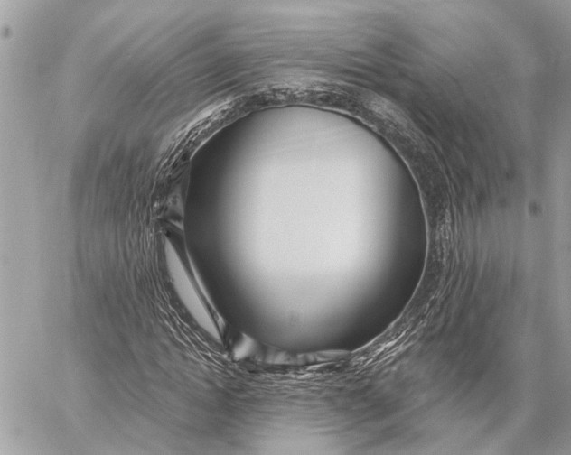 X0000059060822200510281630