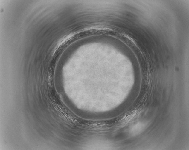 X0000059060823200510281630