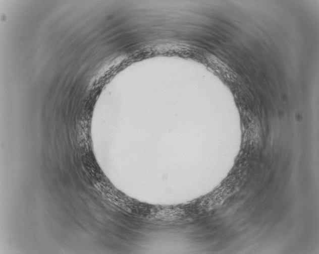 X0000059060824200510281630